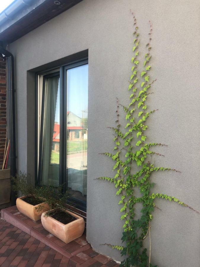 Flores Apartament Katowice Zewnętrze zdjęcie